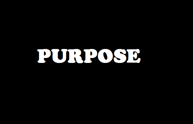 Everything Has Its Purpose
